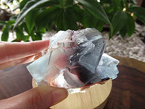 Amazon.co.jp: フローライト原石 結晶 鉱物 内モンゴル自治区産/販売